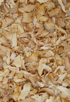 Wood shavings