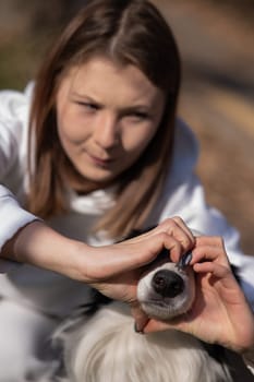 The owner makes a heart on the nose of the border collie dog with her hands