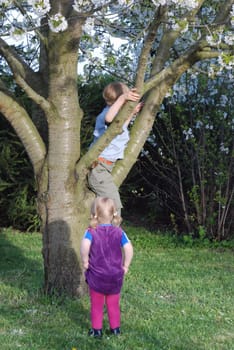 Children at the tree