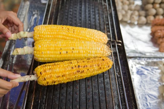 Grilling corn on the cob