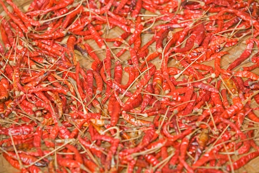 Chilli