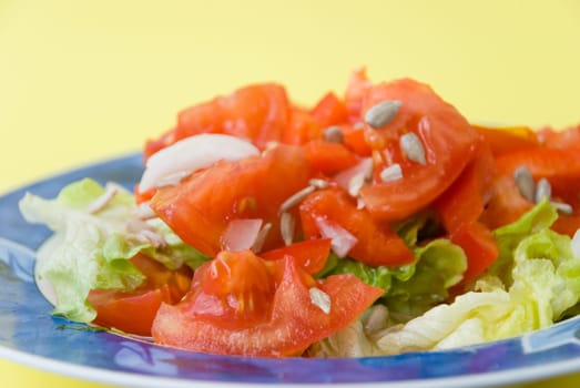 Tomato - Salad