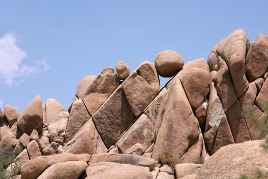 Wonderland of Rocks - Joshua Tree NP