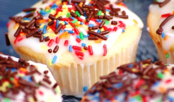 Muffins