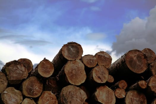 Wooden