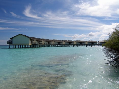 Taken on the island of Reethi Beach in Baa Atoll. ( Maldives )