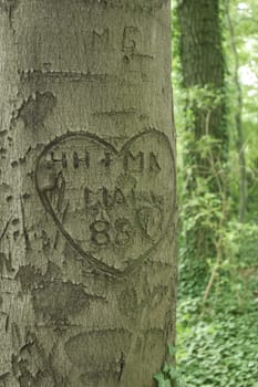 Love Tree 2