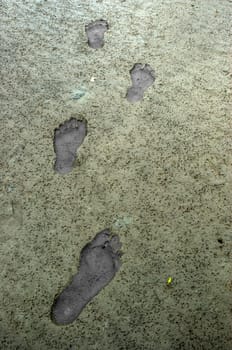 Traces in the mudflats