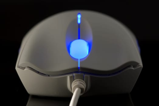 Computer Mouse
