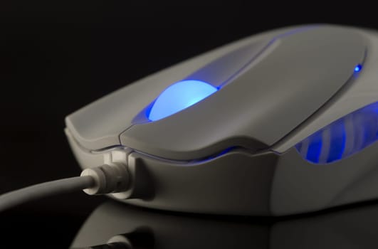 Computer Mouse