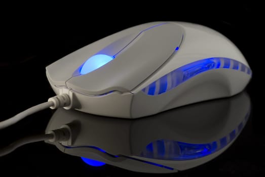 Computer Mouse