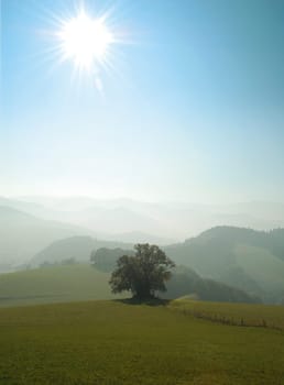 Hill