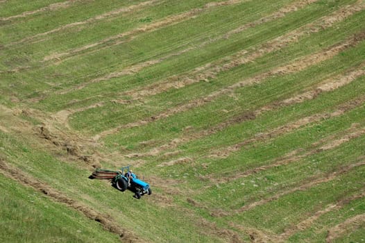 Haymaking