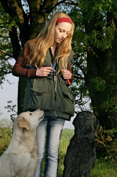 Teenager with 2 retrievers