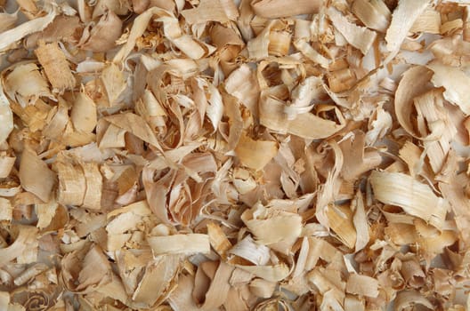 Wood shavings