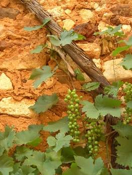 Roussillon 08
