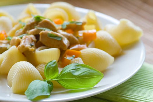 Sliced meat with noodles