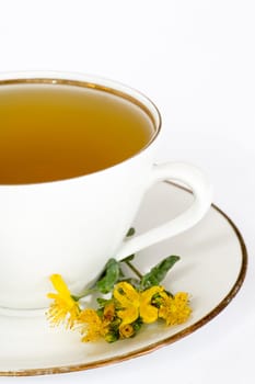 St. John's wort tea