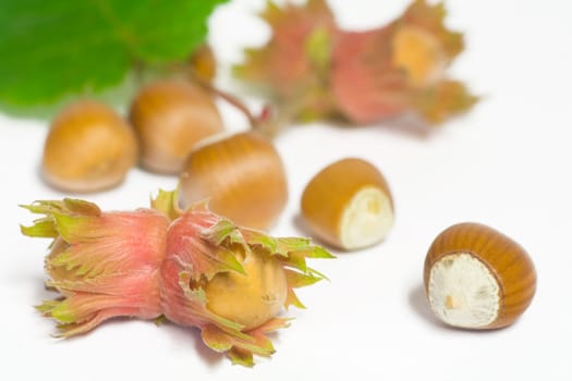 Hazelnuts