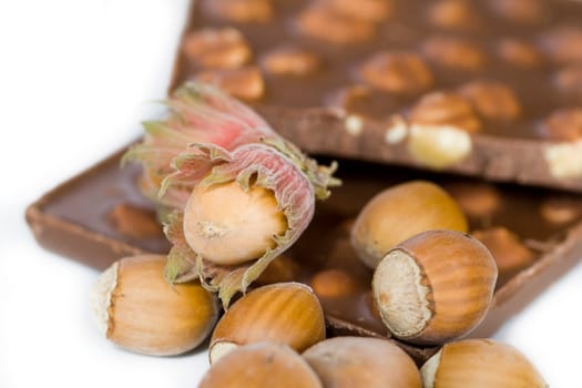 Nut Chocolate