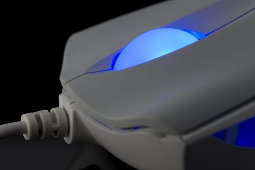 Computer Mouse Detail