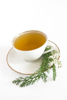 Spicy Yarrow Tea