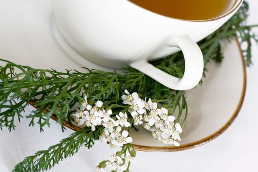 Spicy Yarrow Tea