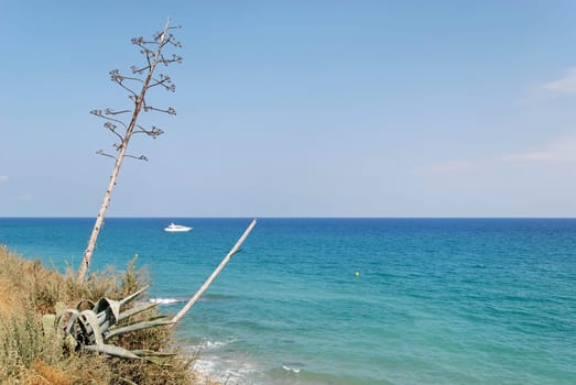 Mediterranean Sea