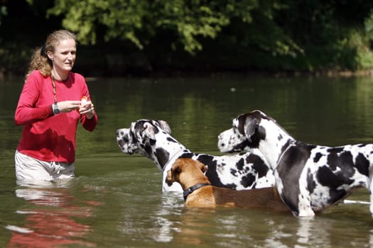 Woman with dogs in water