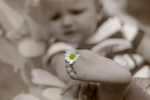 Baby holiday