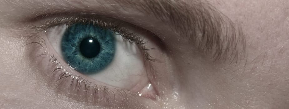 Eye