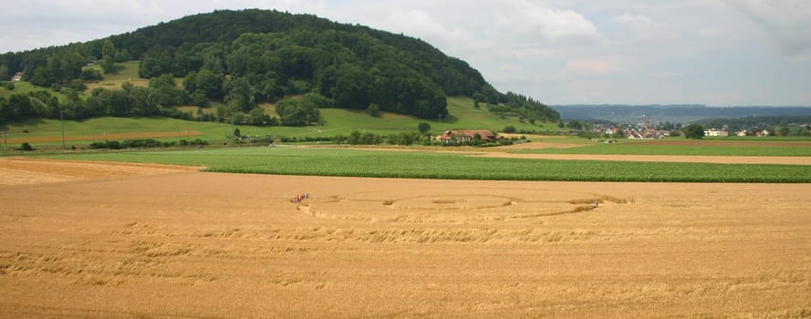 Crop Circle Sign