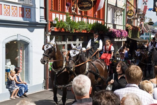 Appenzell Central Festival