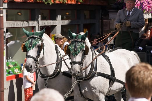 Appenzell Central Festival