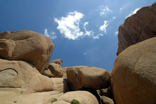 Wonderlands of Rocks Joshua Tree NP