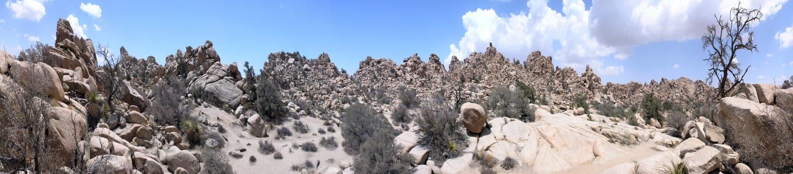 Hidden Valley Joshua Tree NP