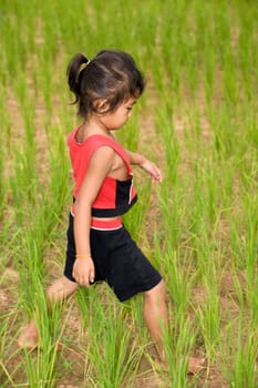 Girl in rice field