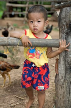Bamboo Fence