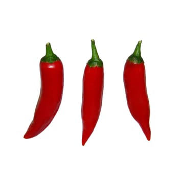 Hot Pepper 01