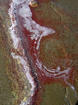 Saline 01