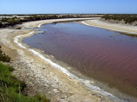 Saline 15