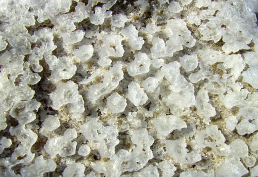 Saline 07