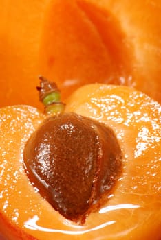 Apricots