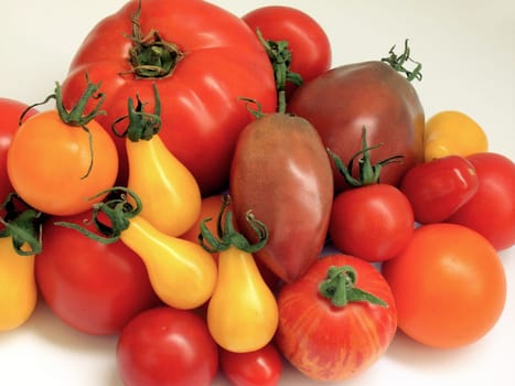 Tomato 07
