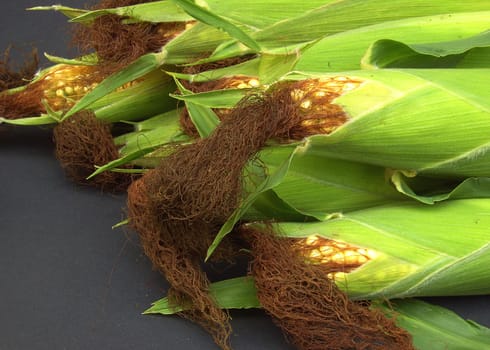Corn 02