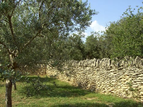 Wall 02