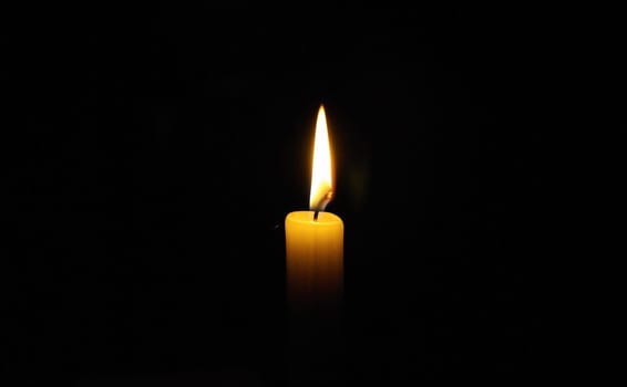 Lonely Light