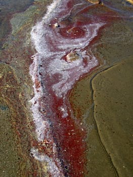 Saline 02