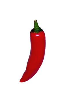 Hot Pepper 02