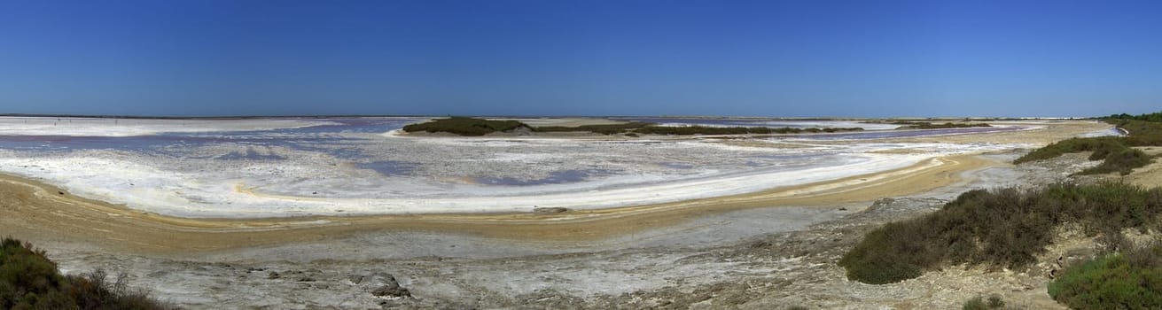 Saline 23